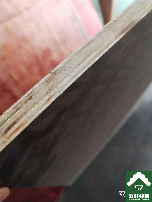 ����ģ�����a܇�g (191).jpg