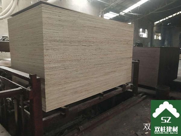 ����ģ�����a(ch��n)܇�g (9).jpg