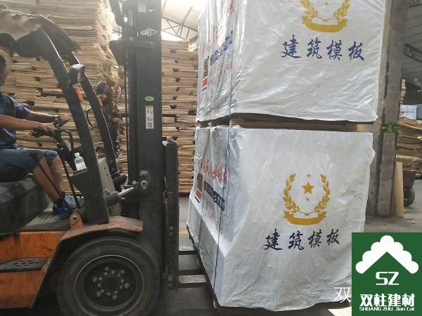 ����ģ�����a(ch��n)܇(ch��)�g (202).jpg