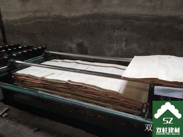 ����ģ�����a(ch��n)܇�g (14).jpg